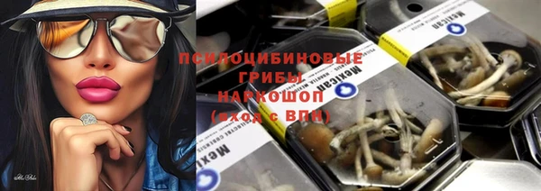 сатива Нефтегорск