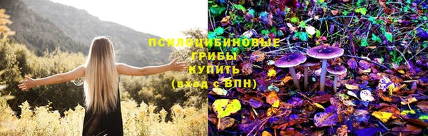 сатива Нефтегорск