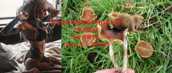 сатива Нея