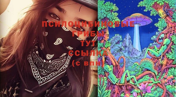 сатива Нея