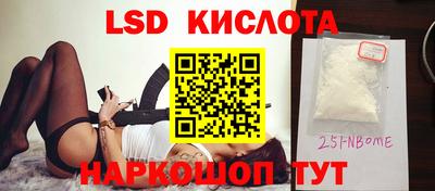 крисы Гатчина