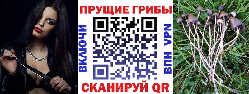 Галлюциногенные грибы ЛСД  Елец 