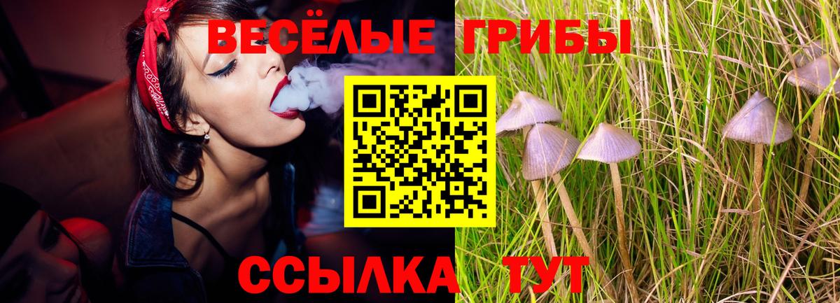 Псилоцибиновые грибы Psilocybine cubensis Елец