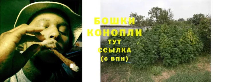 Канабис Bruce Banner  Елец 